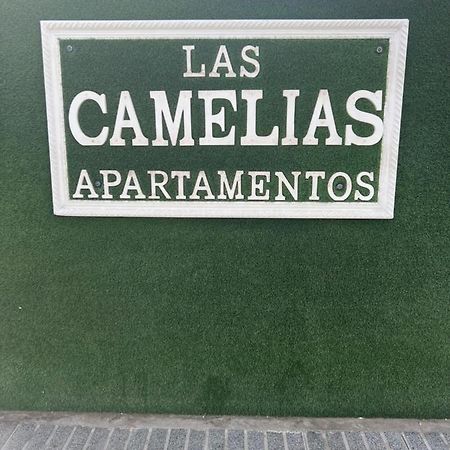Yumbo Appartamenti Las Camelias Playa Del Ingles Exterior foto